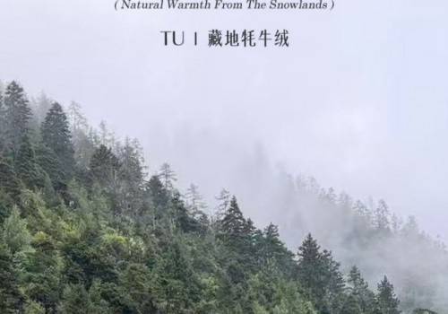 以天然面料诠释极简设计，高端设计师女装品牌TU缇尤 | 牦牛绒秋冬上新